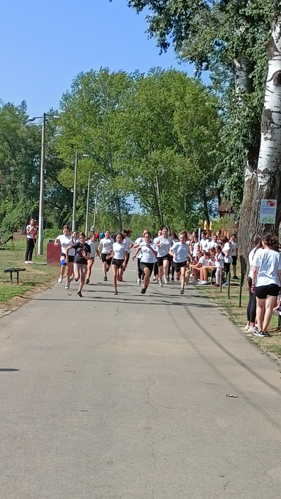 IMG20230922112923.jpg IMG20230922112923.jpg